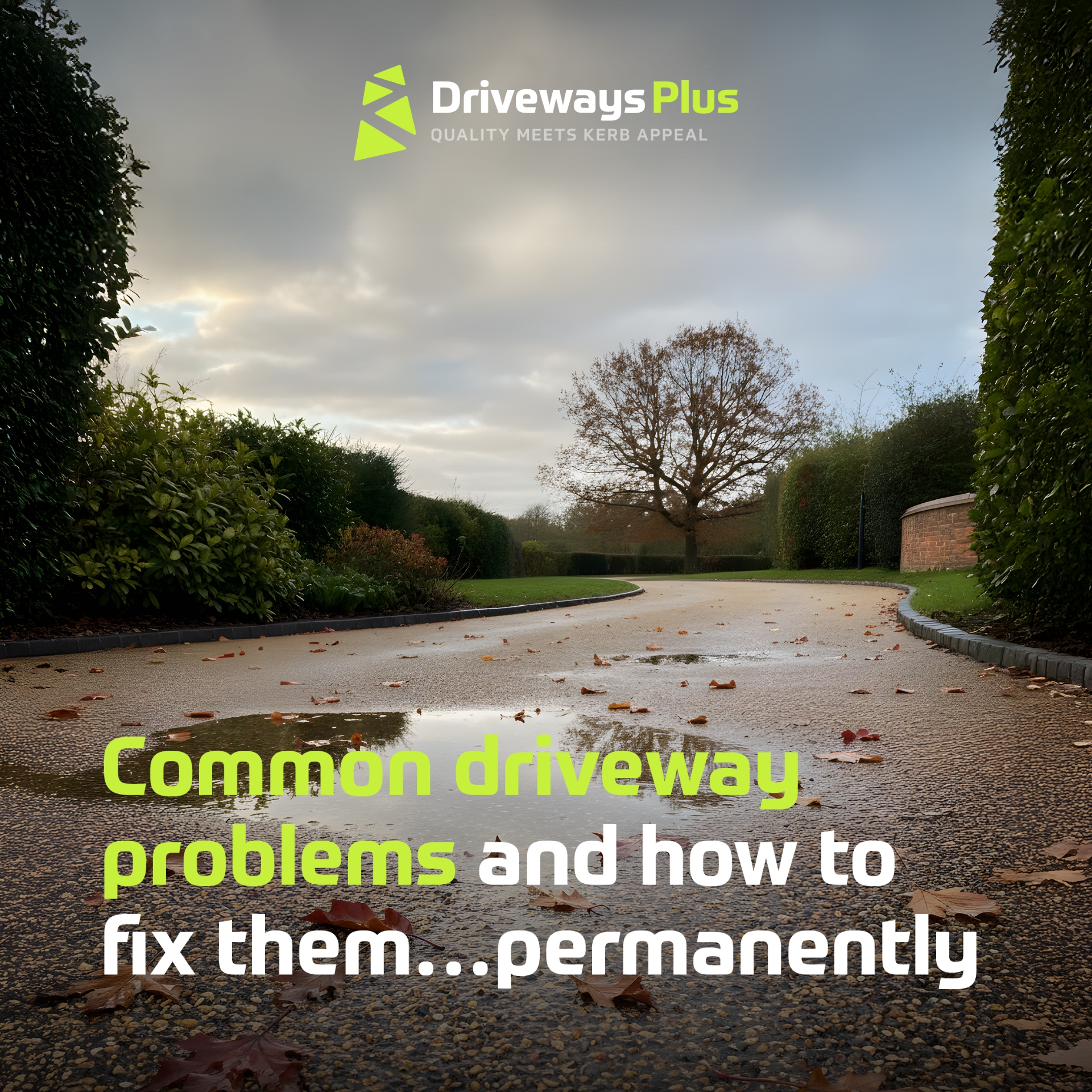 A wet drive with puddles curves past hedges and trees under a cloudy sky. "Driveways Plus" logo appears above the text: "Common drive problems—and how to fix them permanently. | Driveways Plus